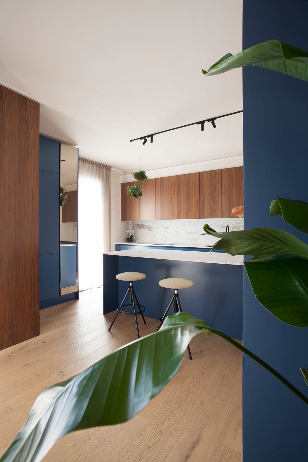 foto a colori con una cucina luminosa con parete blu petrolio e carta da parati