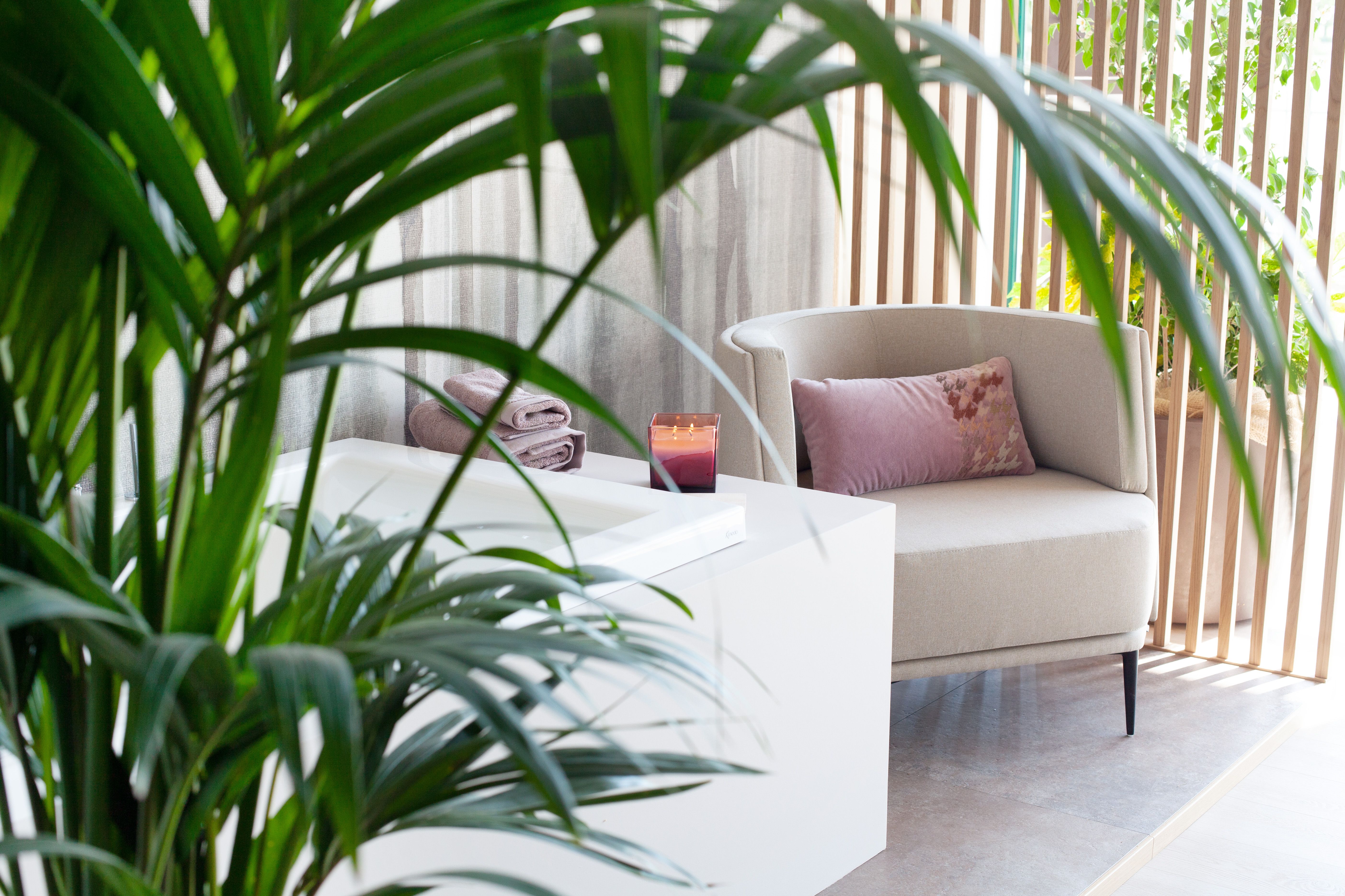 foto a colori con poltrona beige e pianta in primo piano