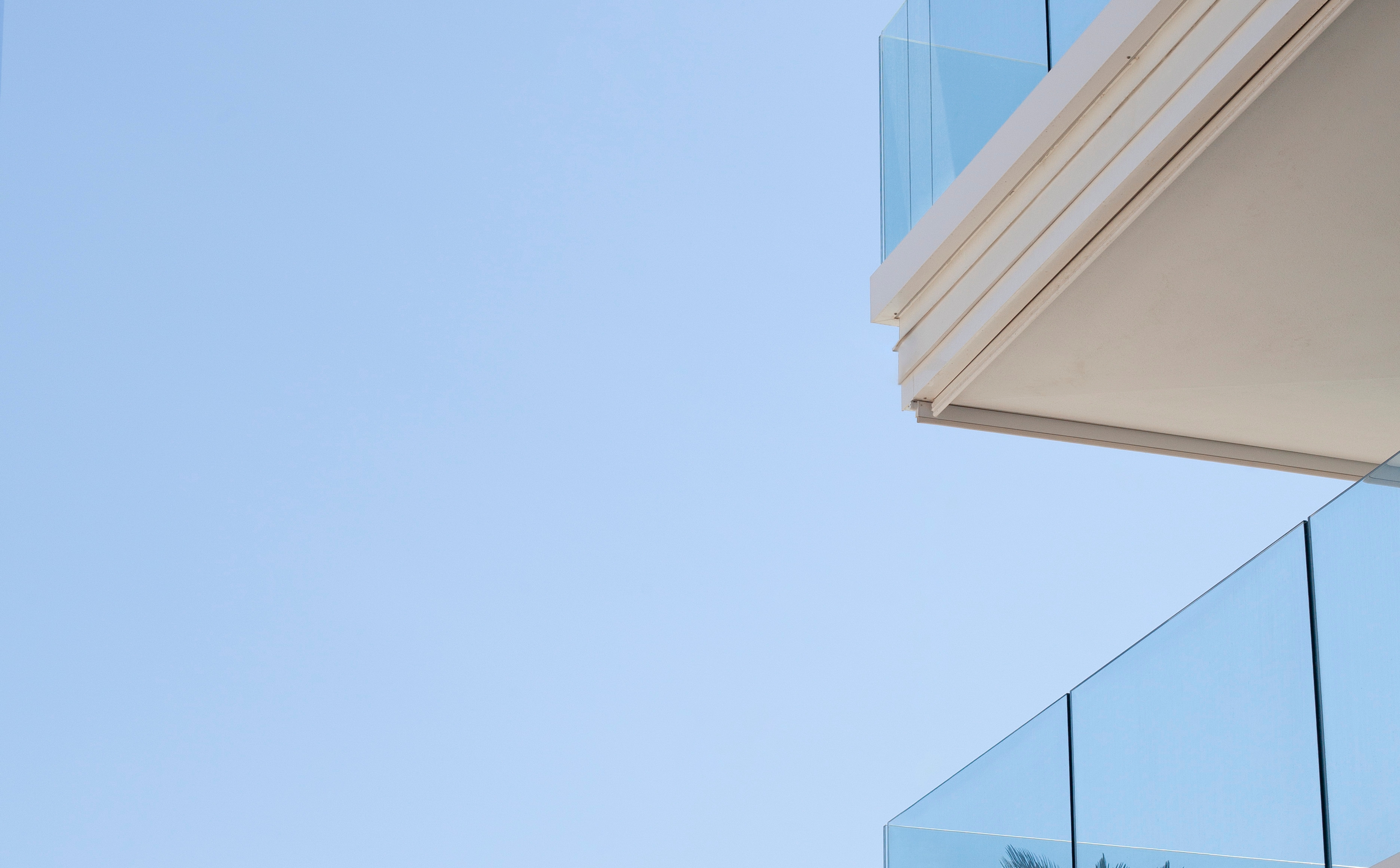foto a colori con palme e cielo azzurro