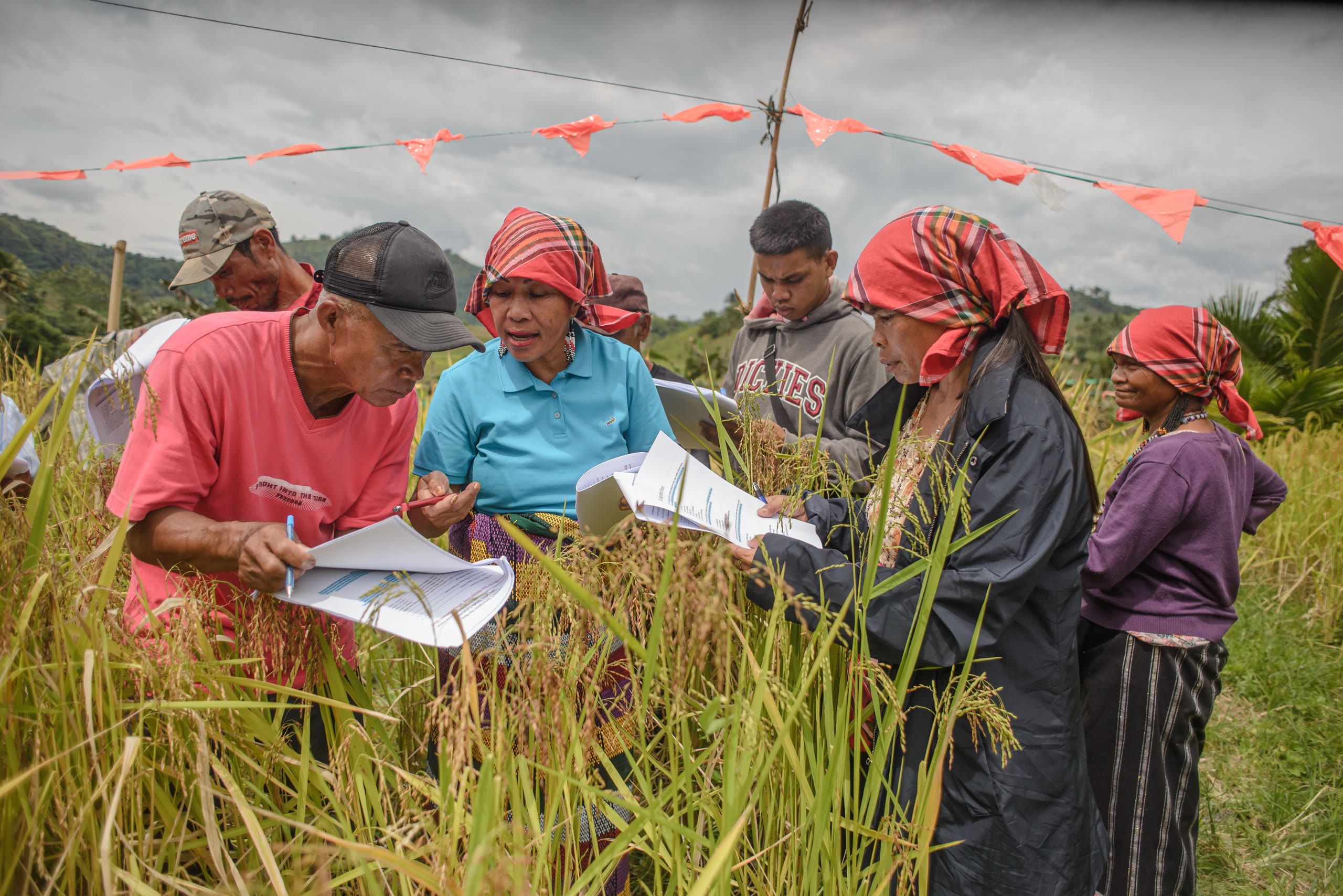 The International Treaty on Plant Genetic Resources for Food and Agriculture