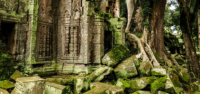angkor vat moss
