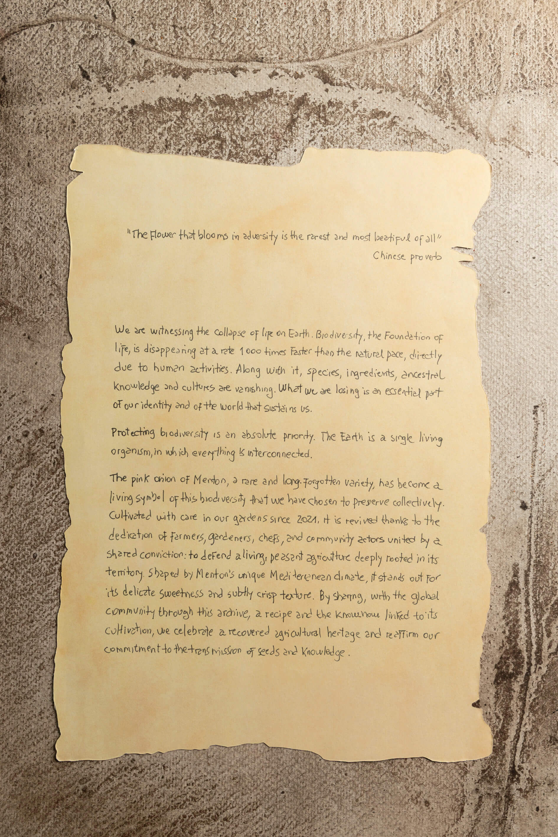 Page one of the handwritter letter