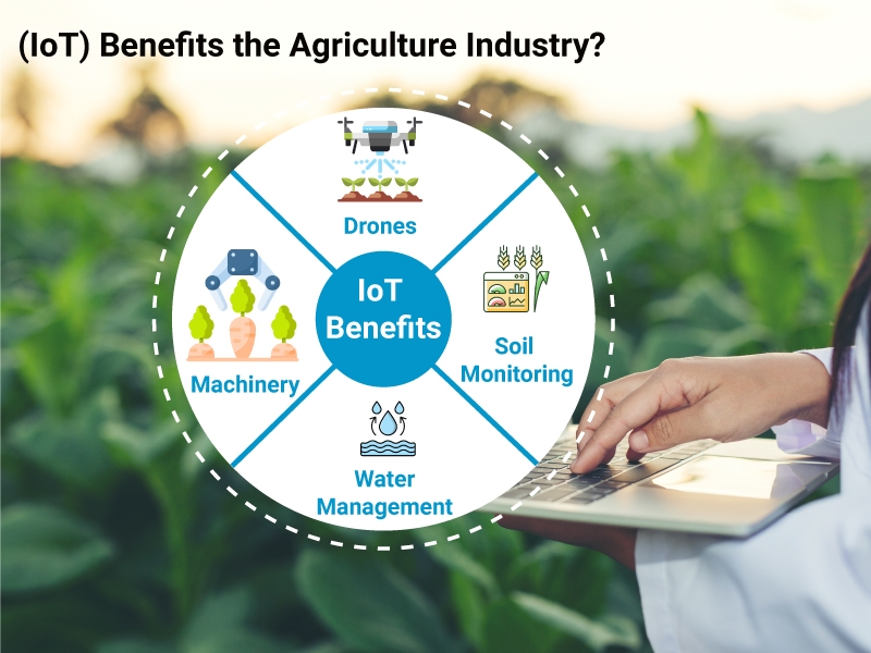 Benefits of IoT in Agriculture Industry