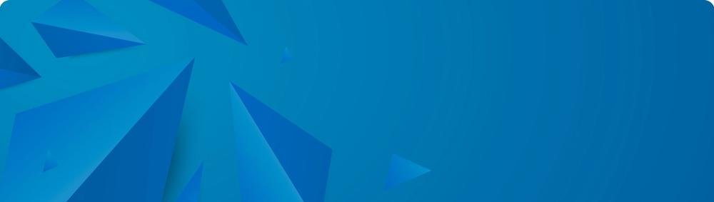 MVP Development Services