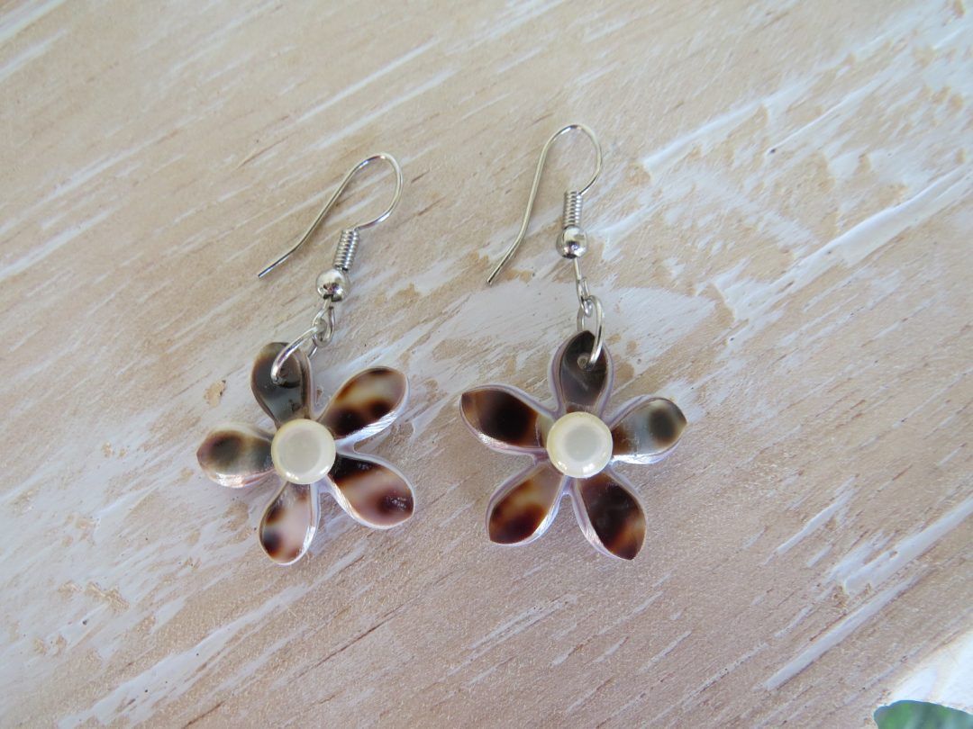 Star Shaped Shell Earrings #1