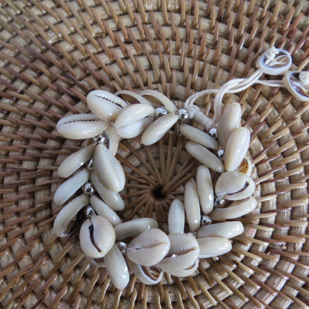 Shells at Exudy