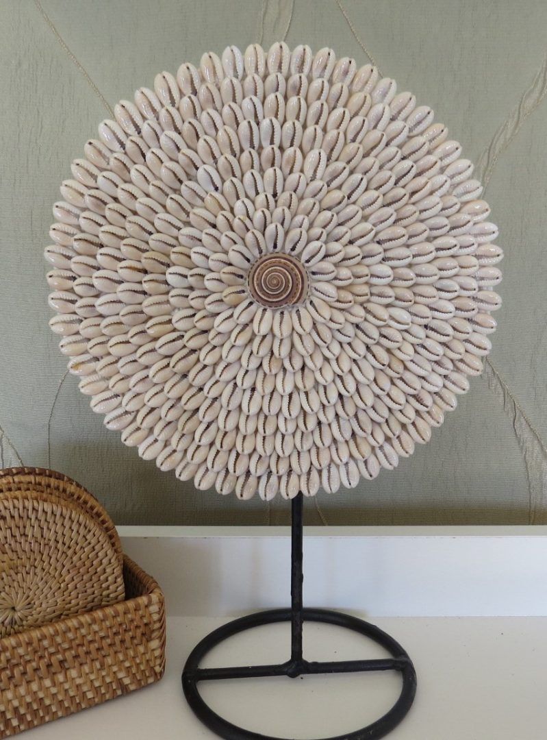 Cowrie Shell Circle