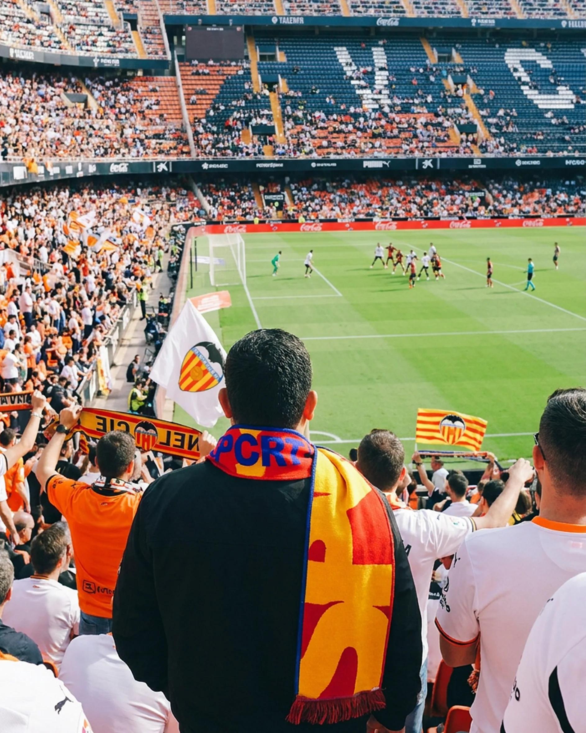 Sport — supporter scarf & stadium pitch 1
