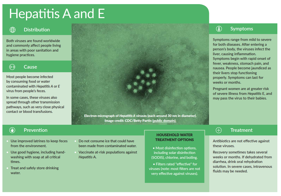 water-related-disease-card-hepatitis-a-and-e-wash-resources