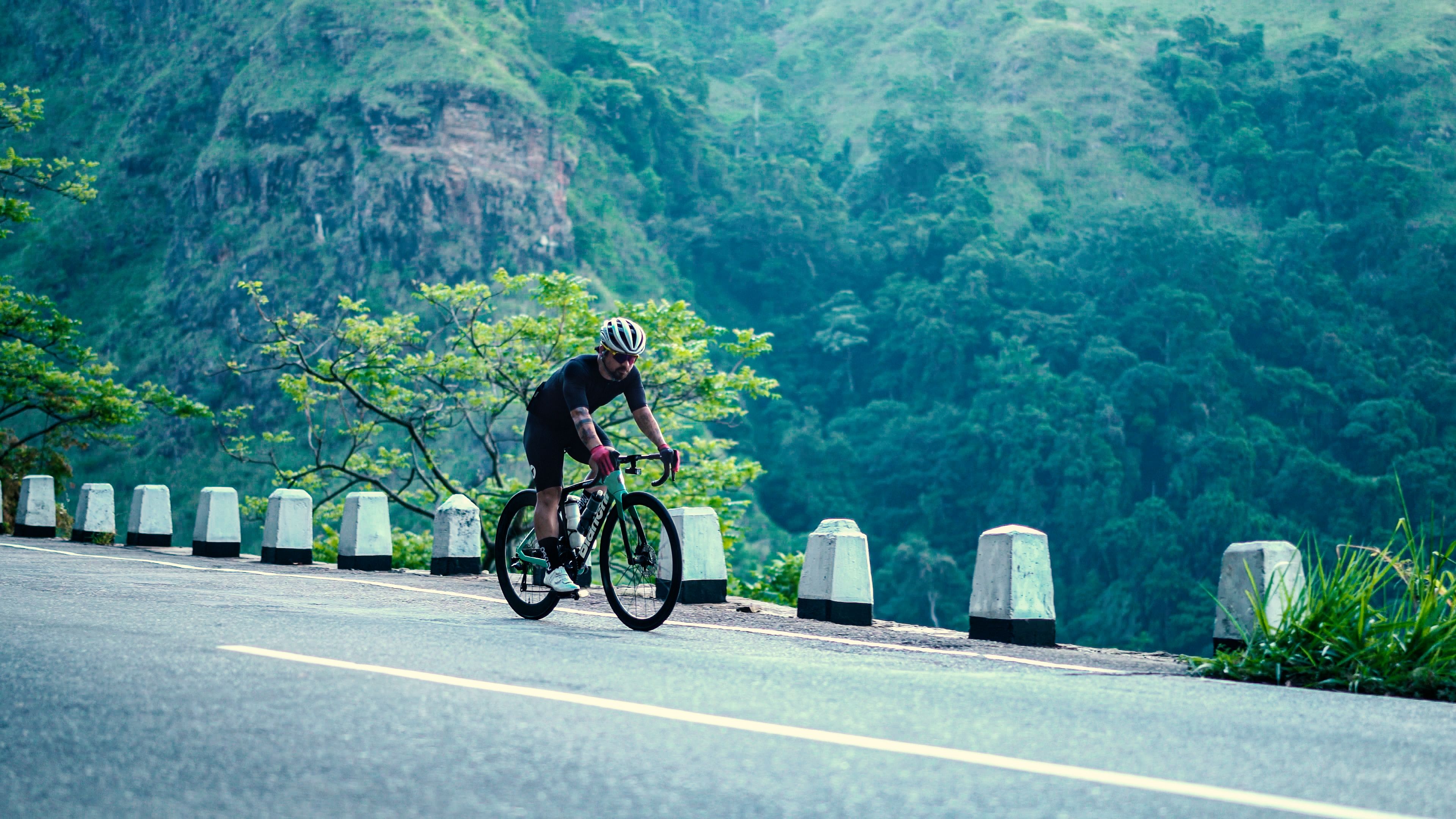 Wild Ceylon photo 3