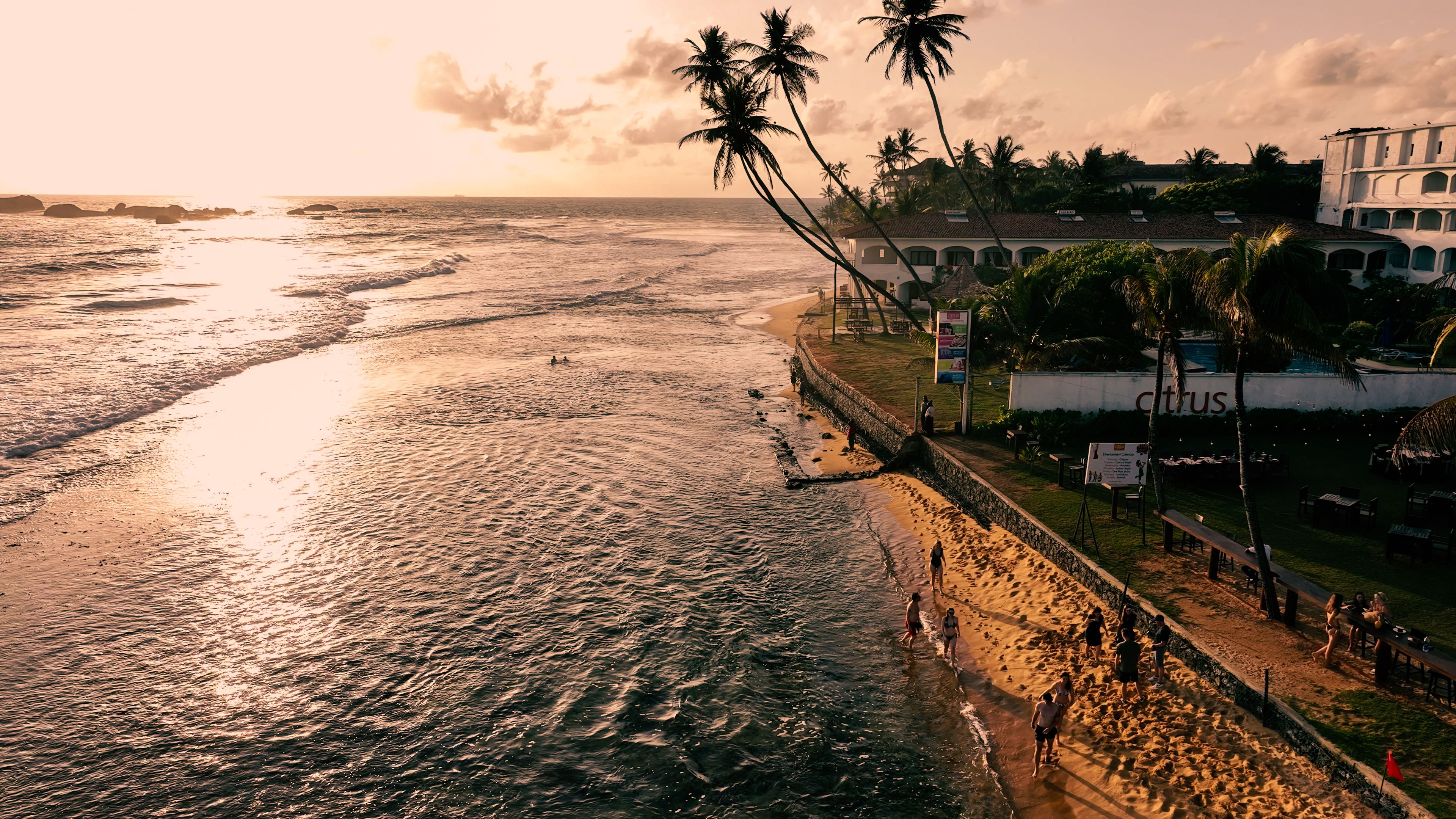 Wild Ceylon photo 7