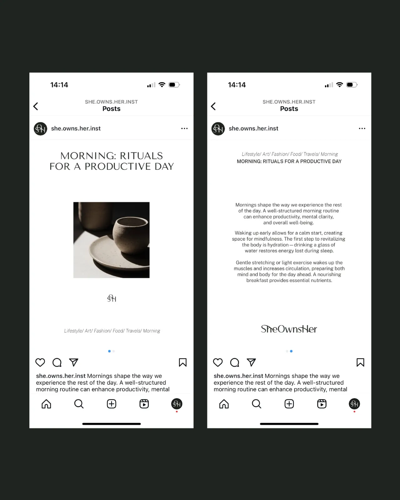 She Owns Her – Brand Guideline / Social Media Design - Image 10