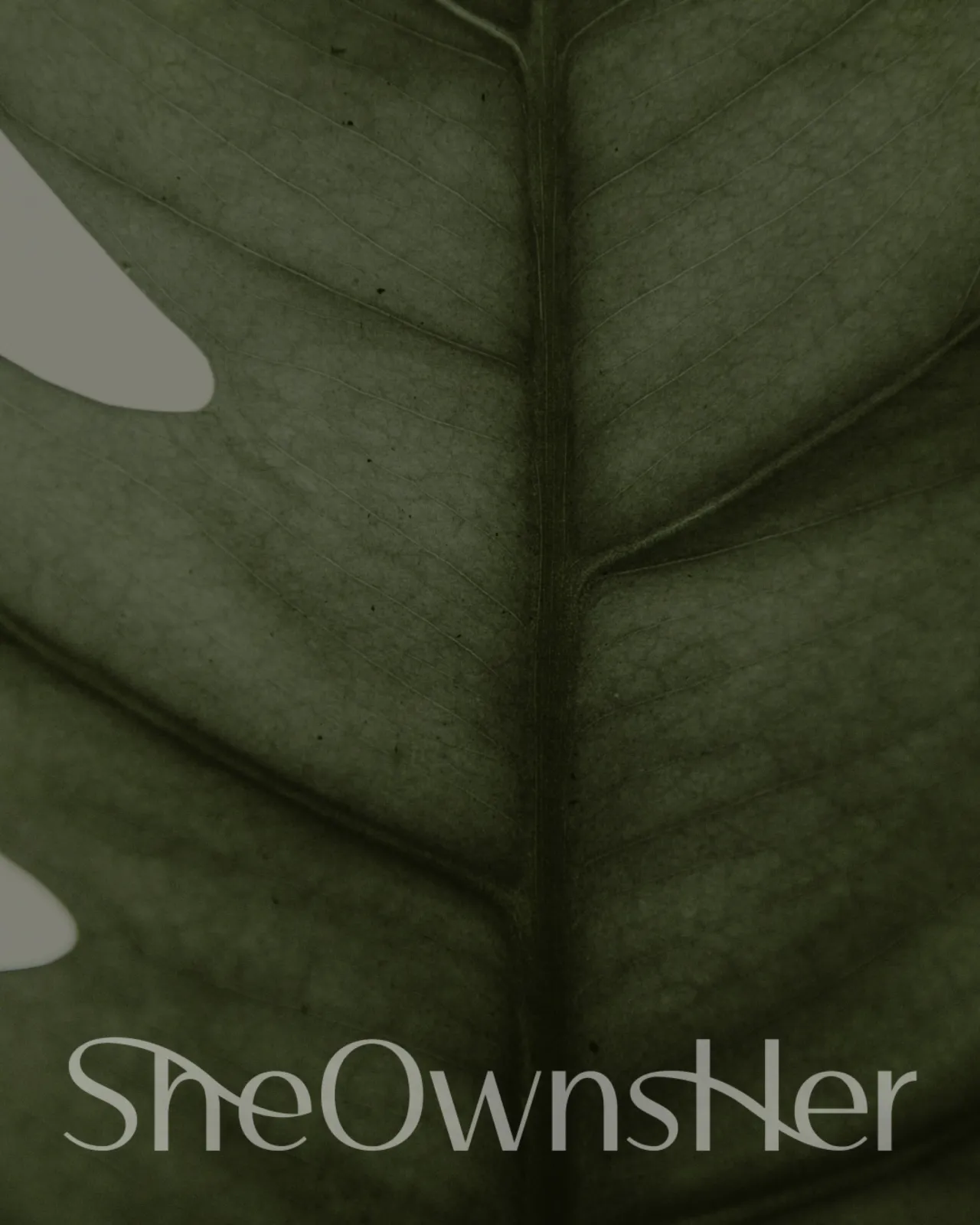 She Owns Her – Brand Guideline / Social Media Design - Image 4