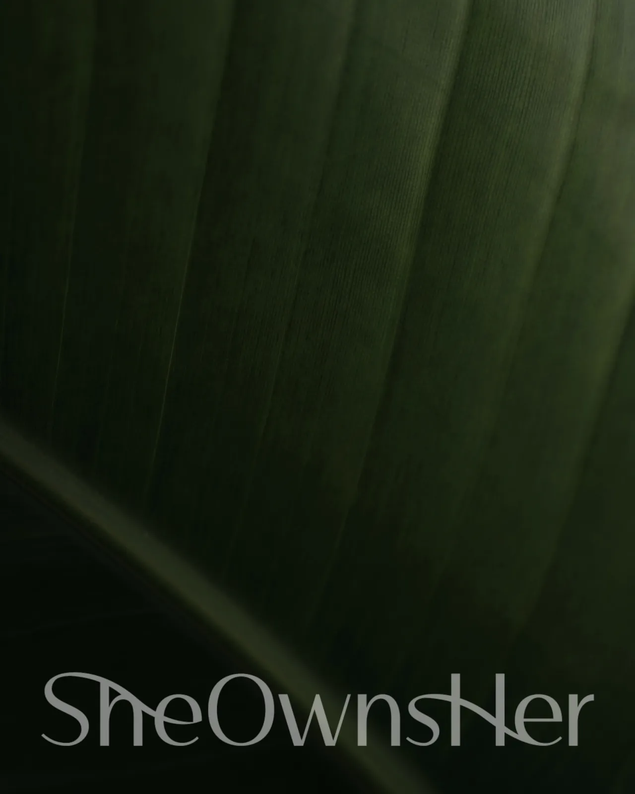 She Owns Her – Brand Guideline / Social Media Design - Image 8