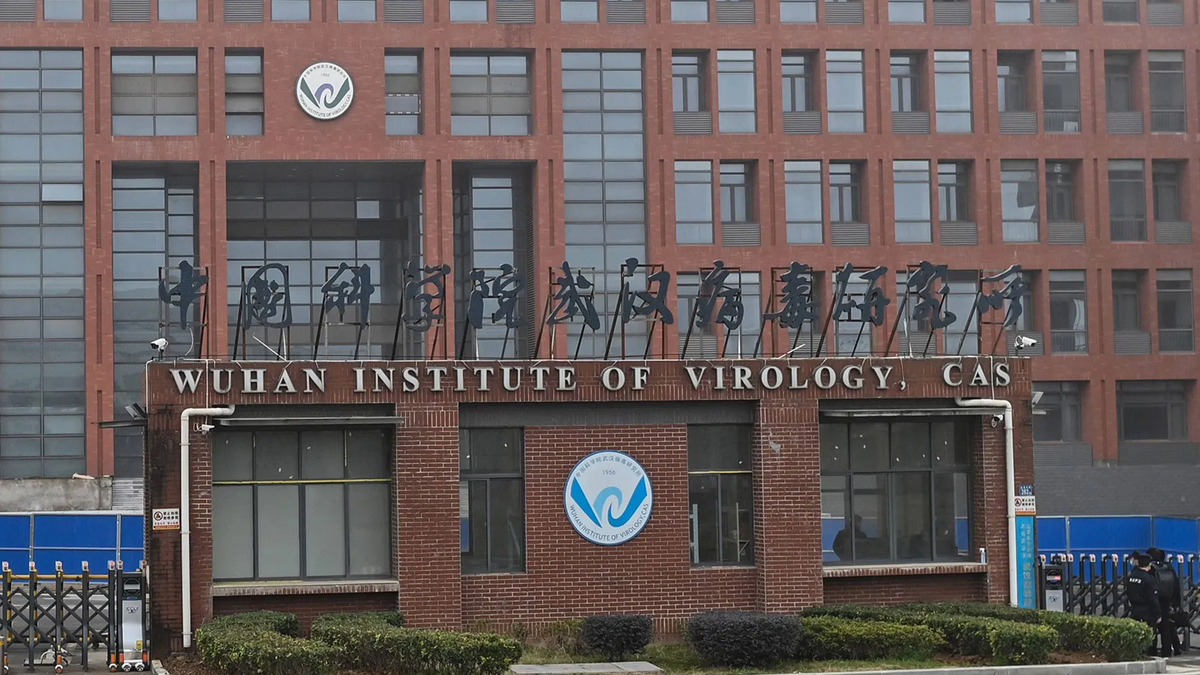 Wuhan Virus Lab
