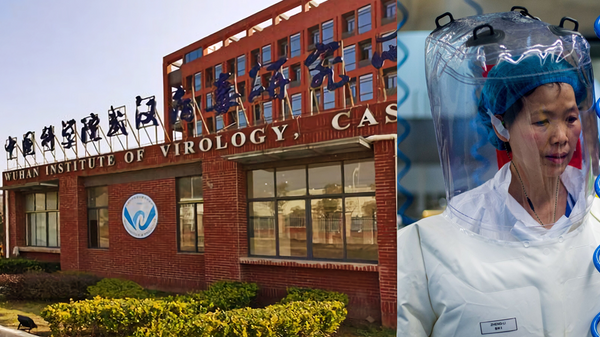 Wuhan Virus Lab and the Bat women Ms Zheng Li
