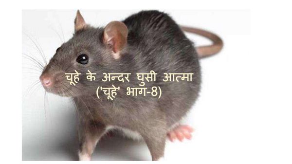 An outsider soule within a mouse