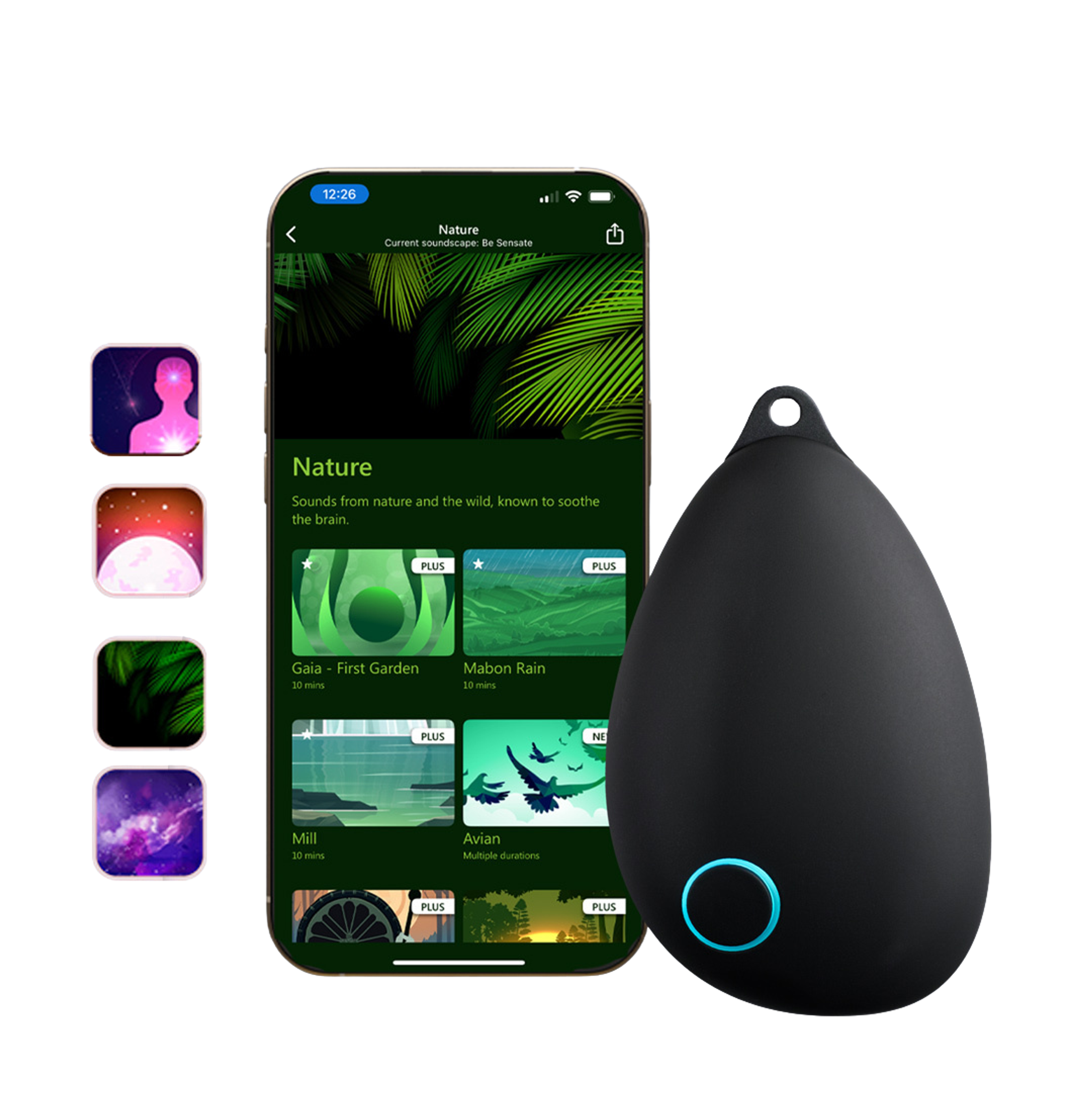 1 Plus Pack Sensate