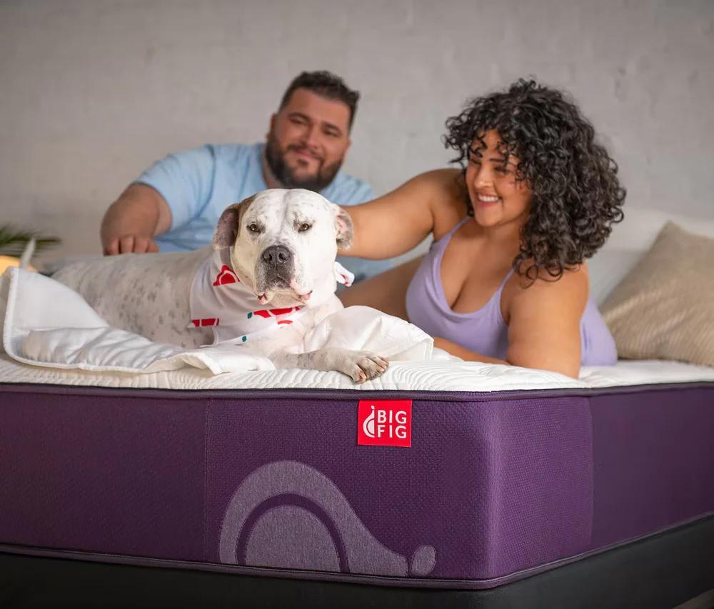 Hero image for Big Fig Mattress