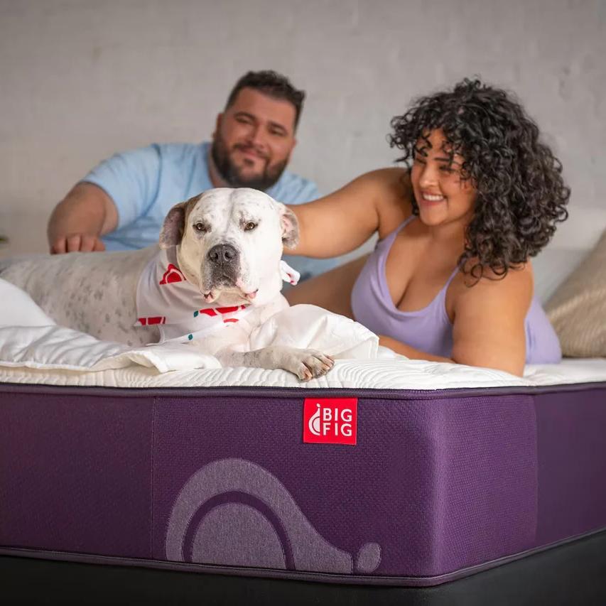 Hero image for Big Fig Mattress