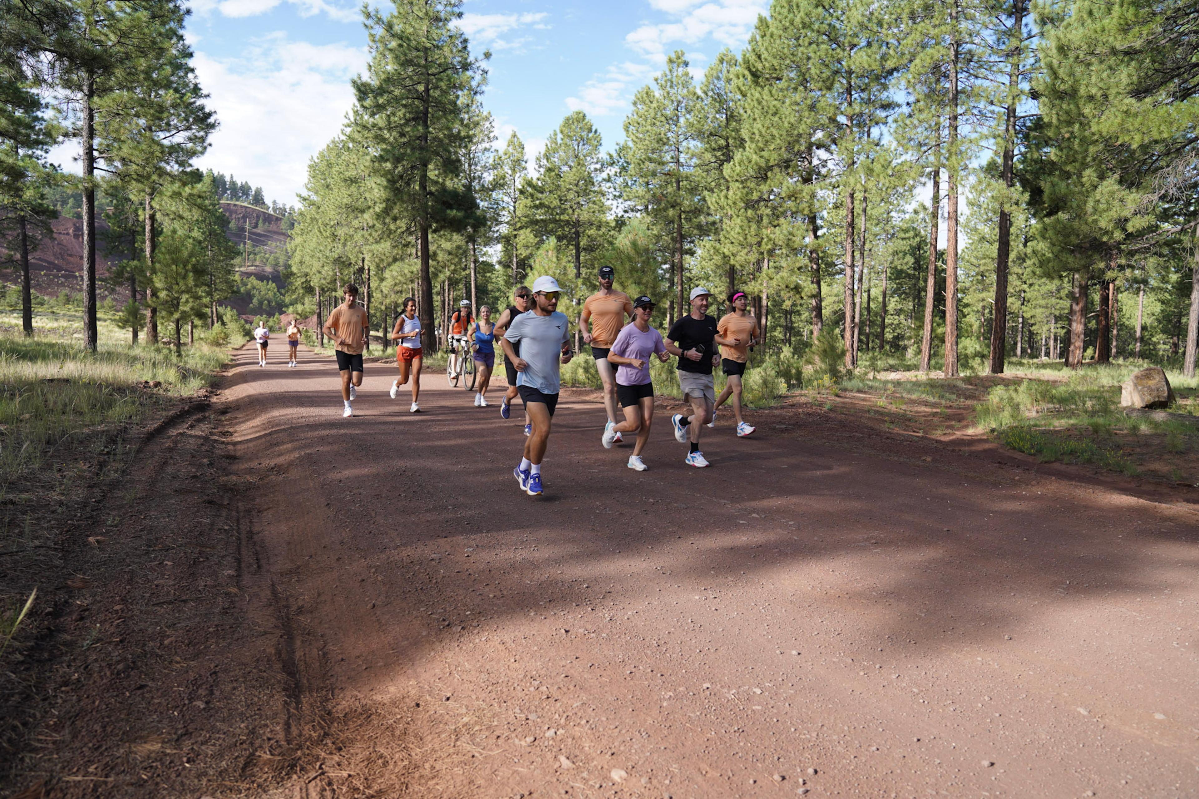 A group of people running and one person biking on a dirt road through a pine forest.