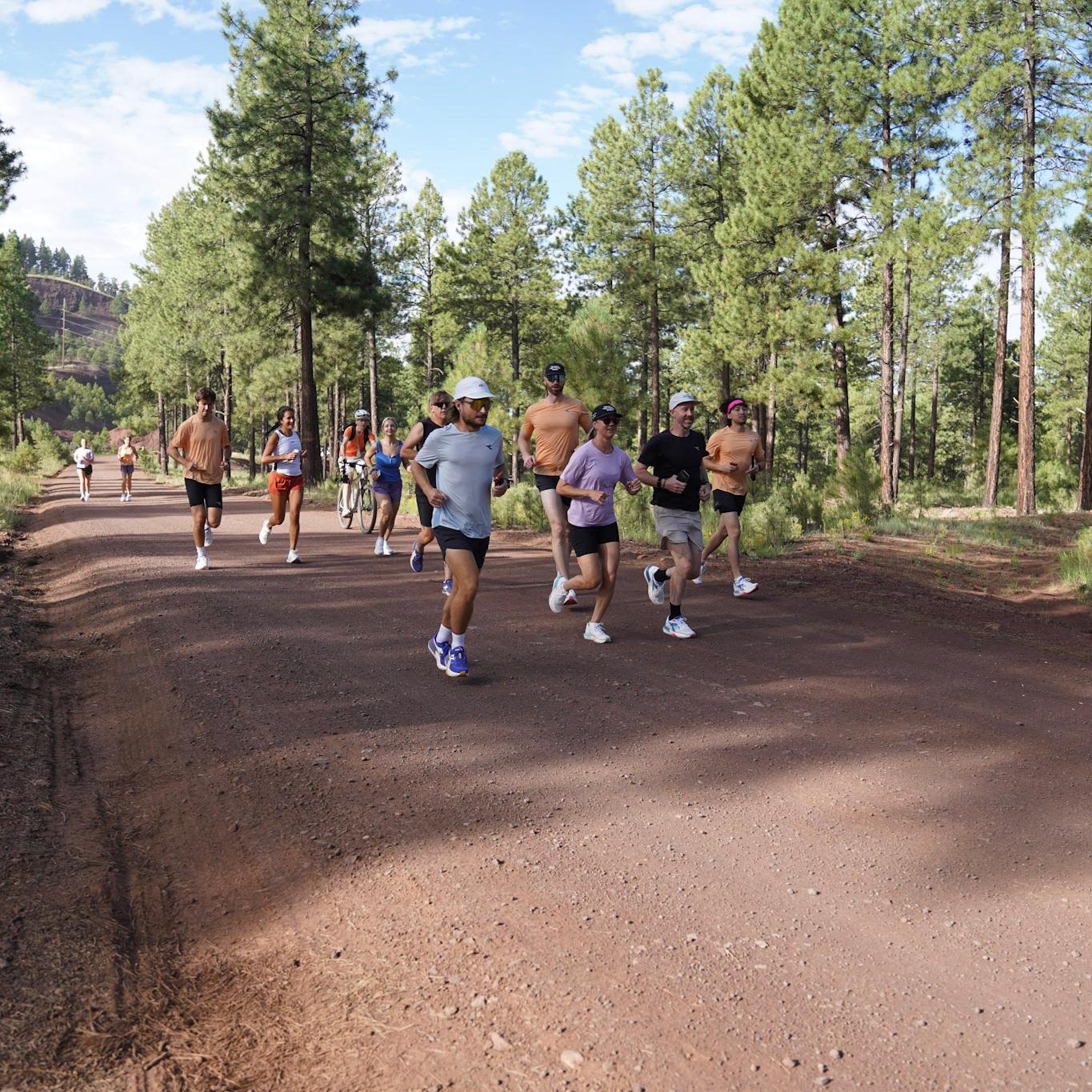 A group of people running and one person biking on a dirt road through a pine forest.