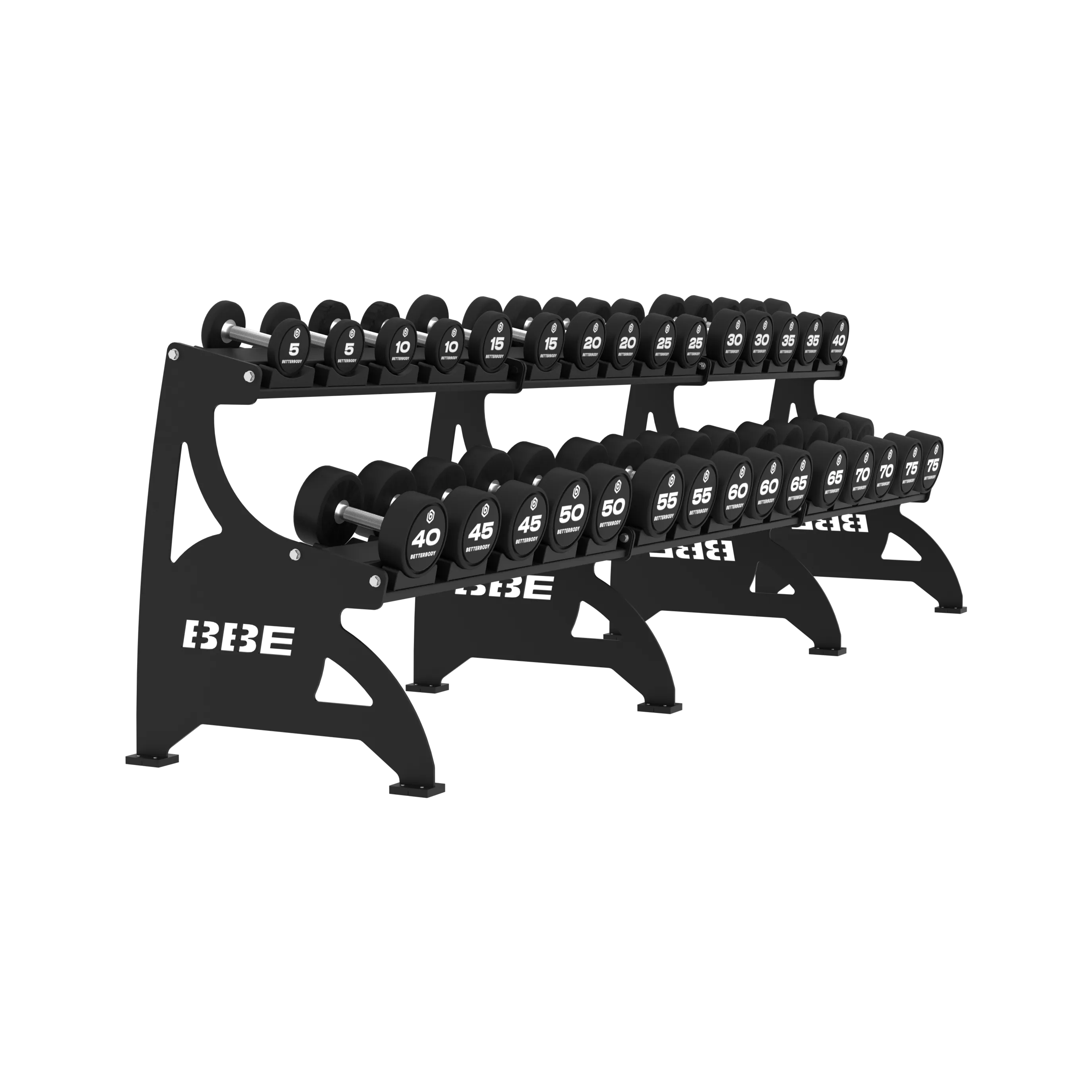 Two-tier black steel dumbbell rack with dumbbells 5 to 75 lbs