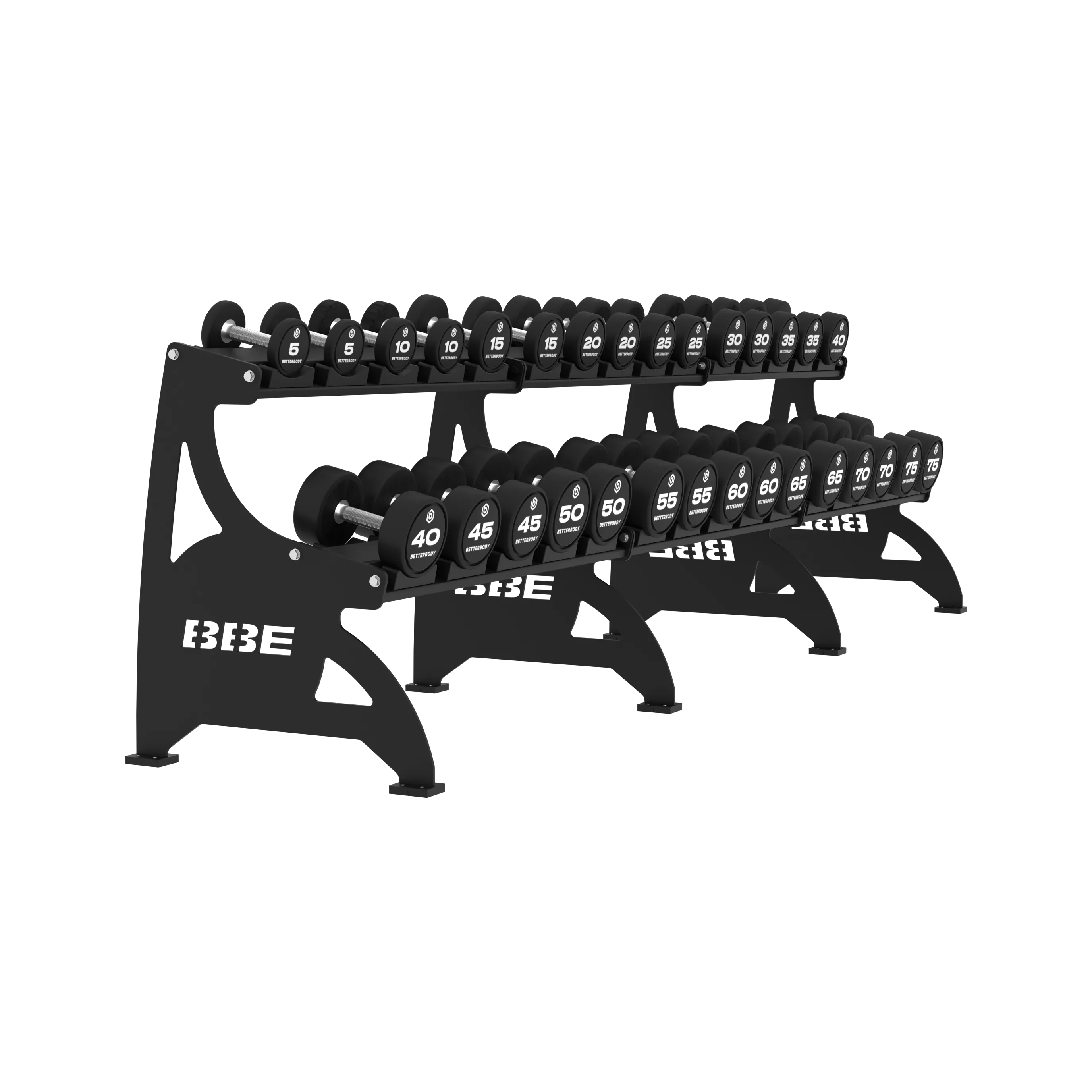 Two-tier black steel dumbbell rack with dumbbells 5 to 75 lbs