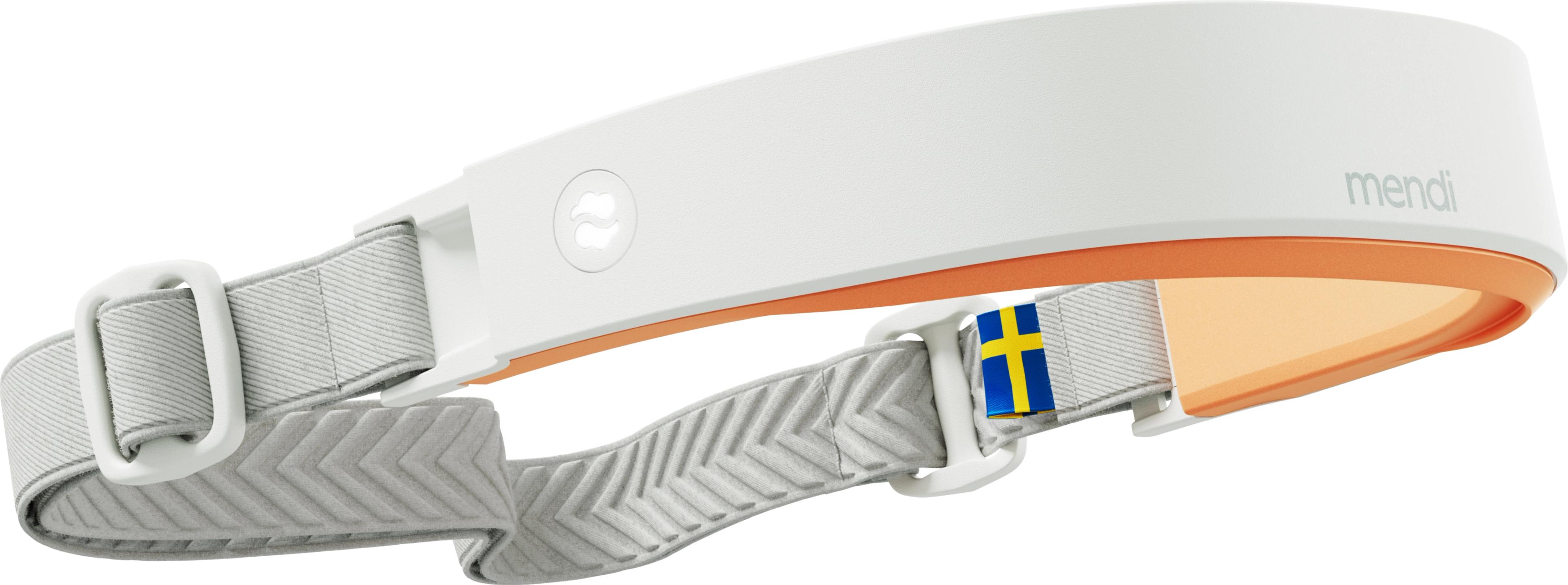 The Mendi Headset