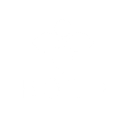 BOLD logo