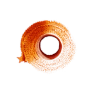 SaltWrap logo