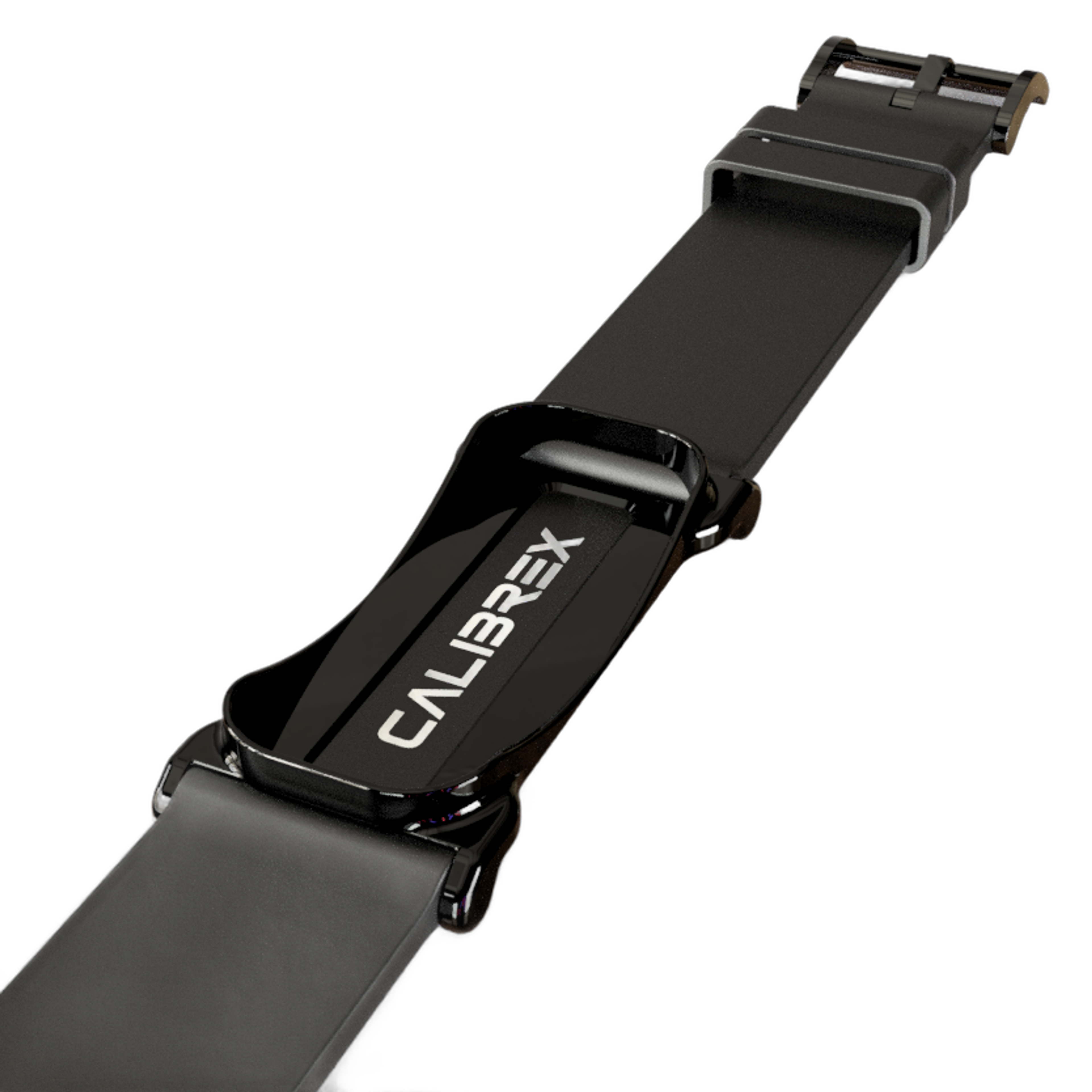 Calibrex Wristband