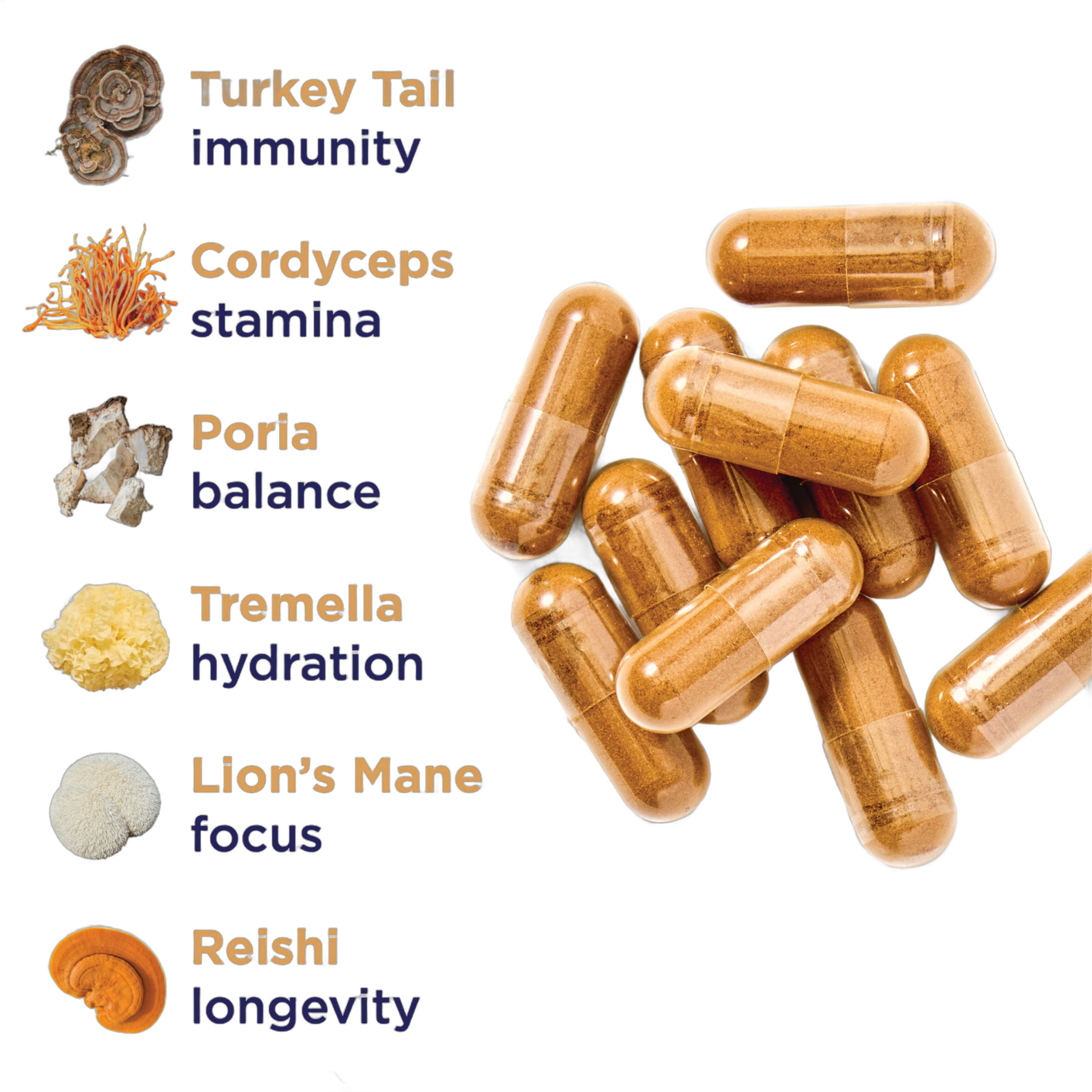 Magnificent Mushrooms Capsules