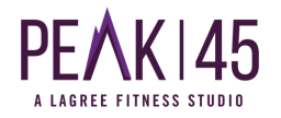 PEAK|45 logo