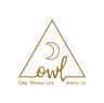 OWL Venice logo