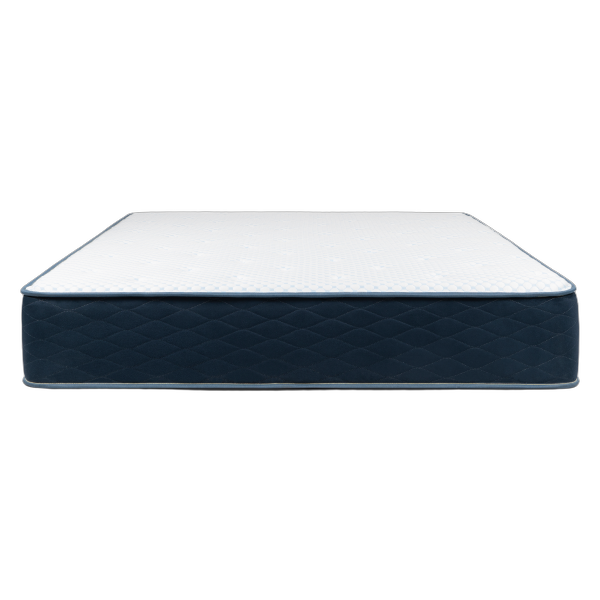 Dreamfoam Hybrid