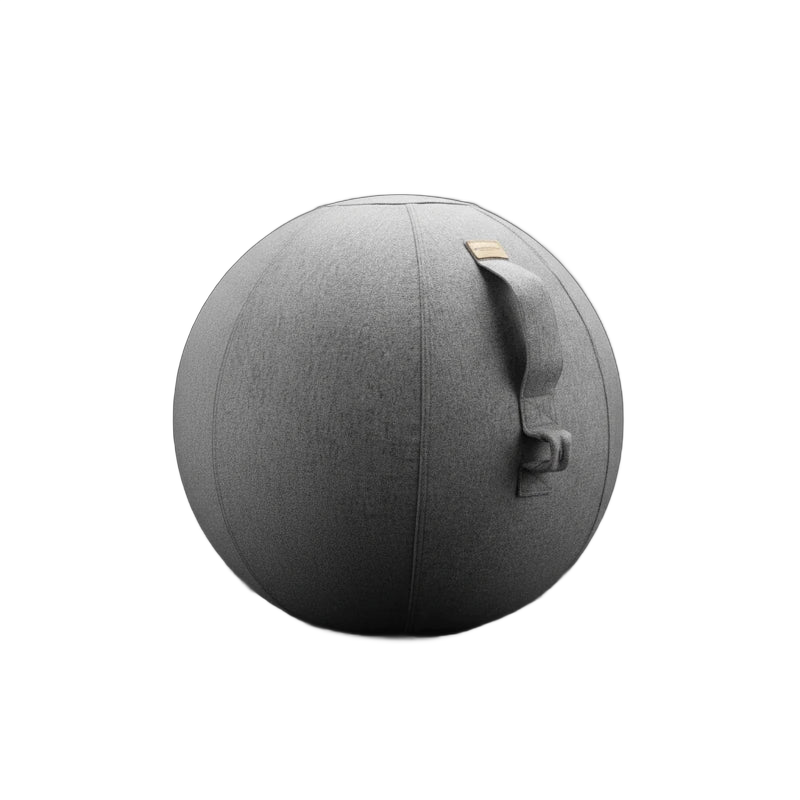 Walkolution Active Sitting Ball - 65 cm