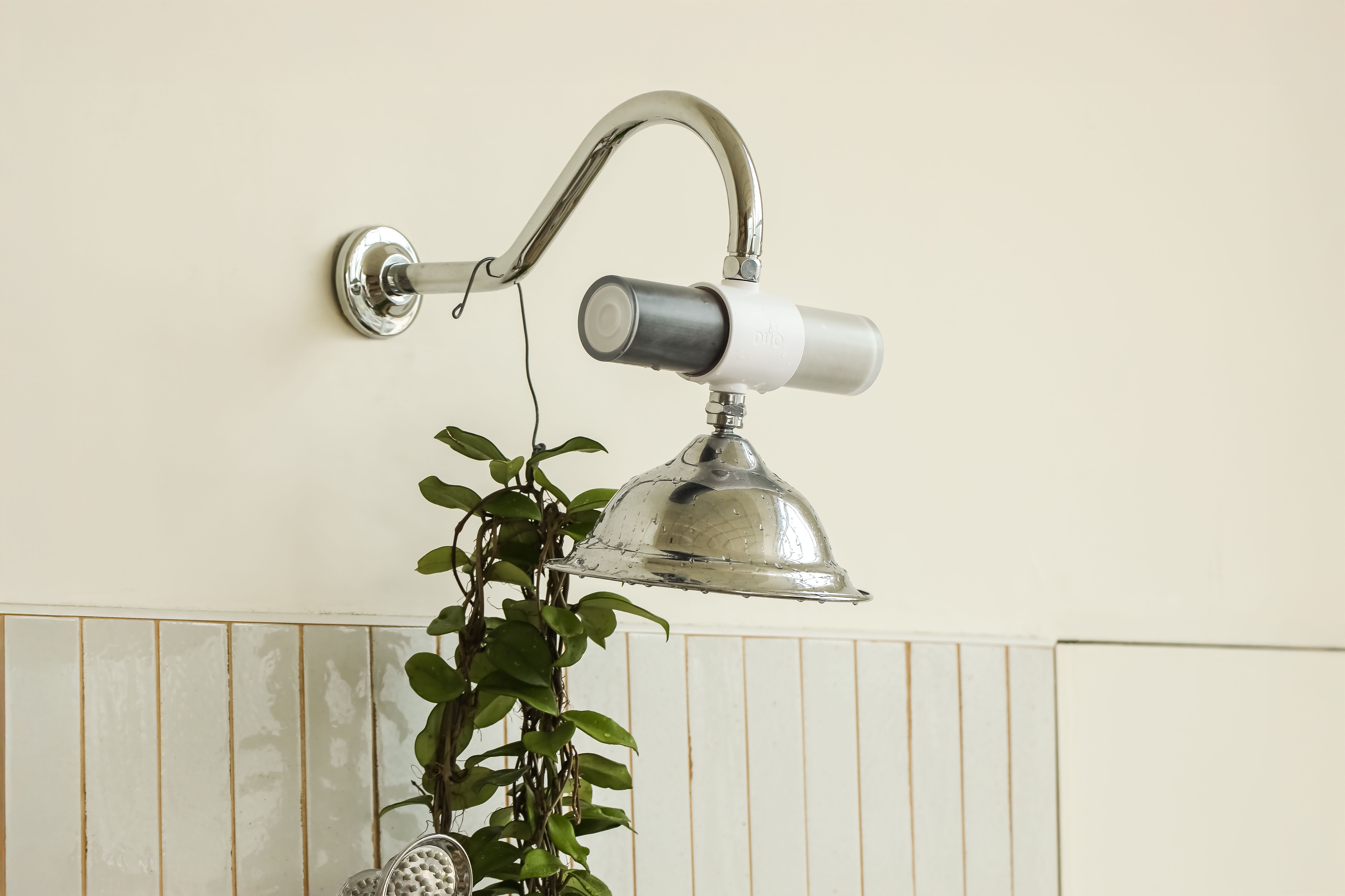 A chrome shower head with a water filter and a hanging green plant.