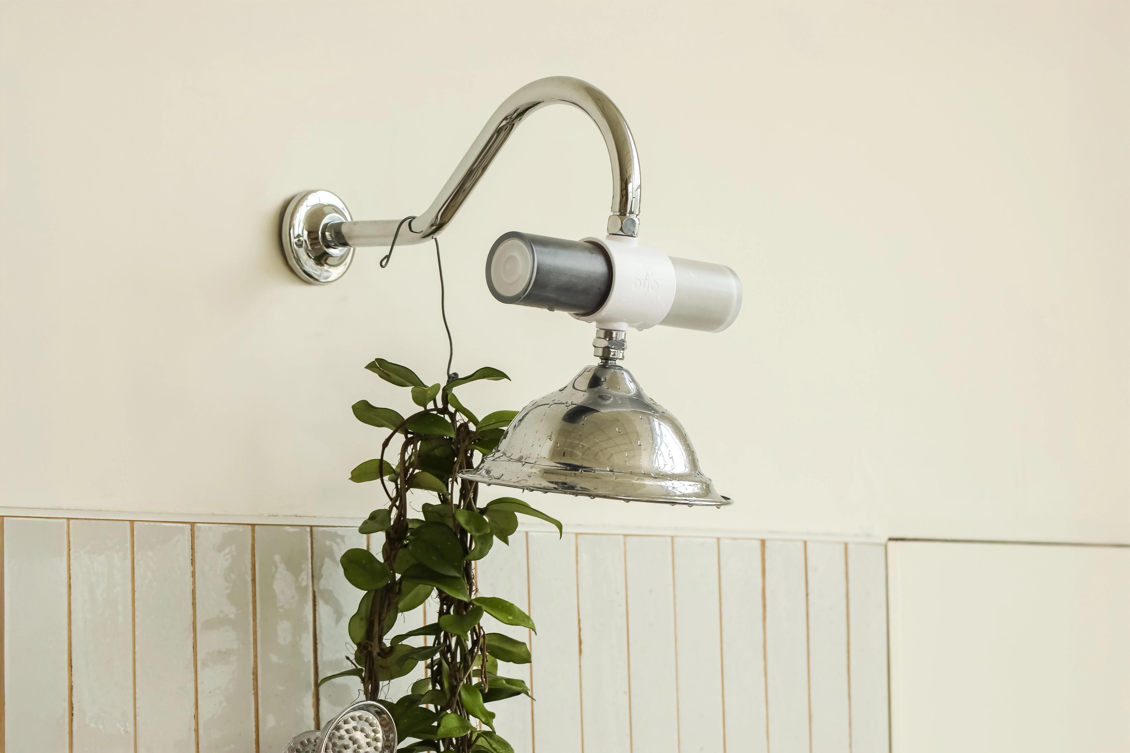 A chrome shower head with a water filter and a hanging green plant.