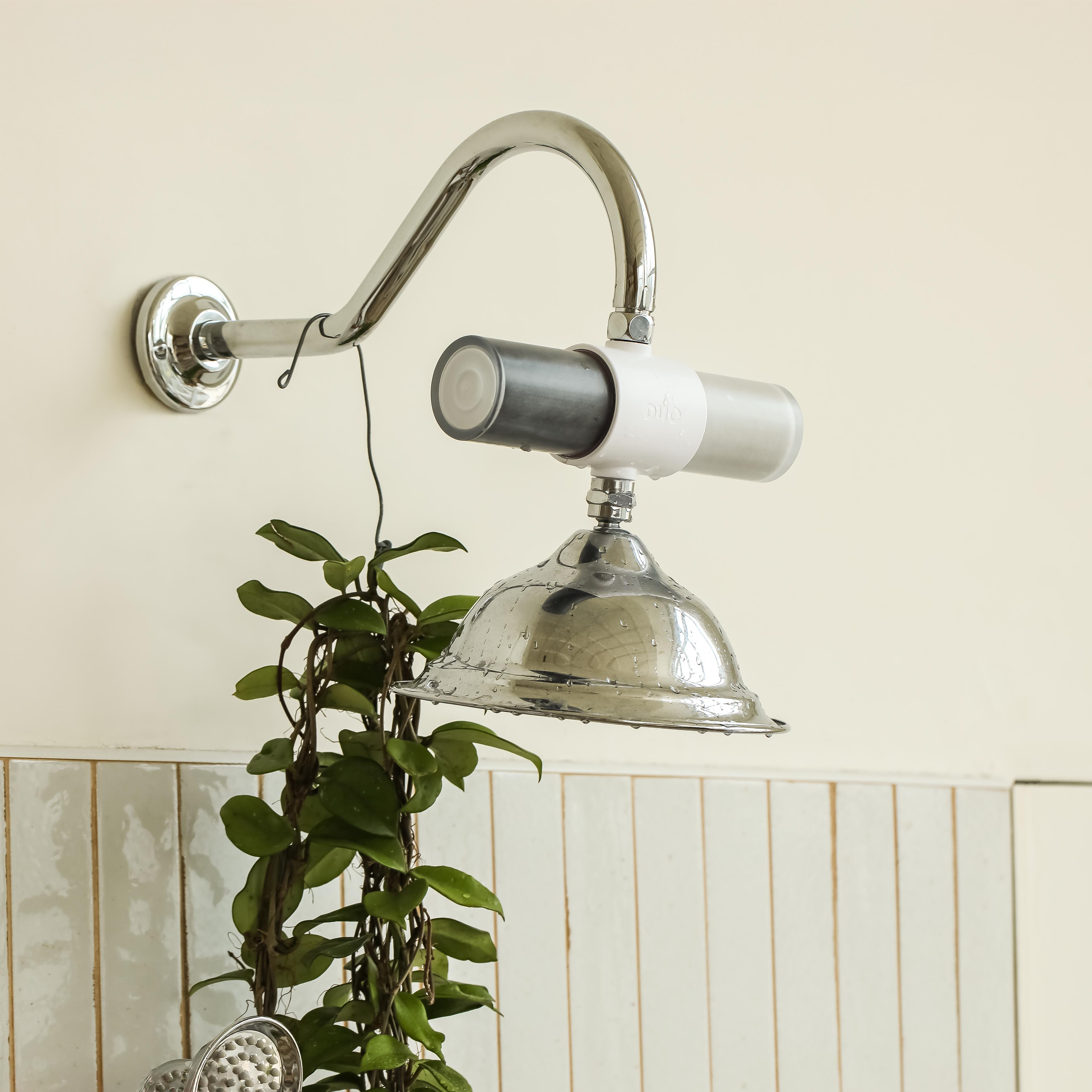 A chrome shower head with a water filter and a hanging green plant.