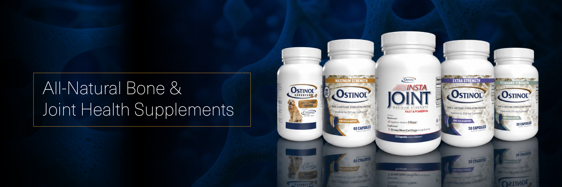Hero image for Ostinol