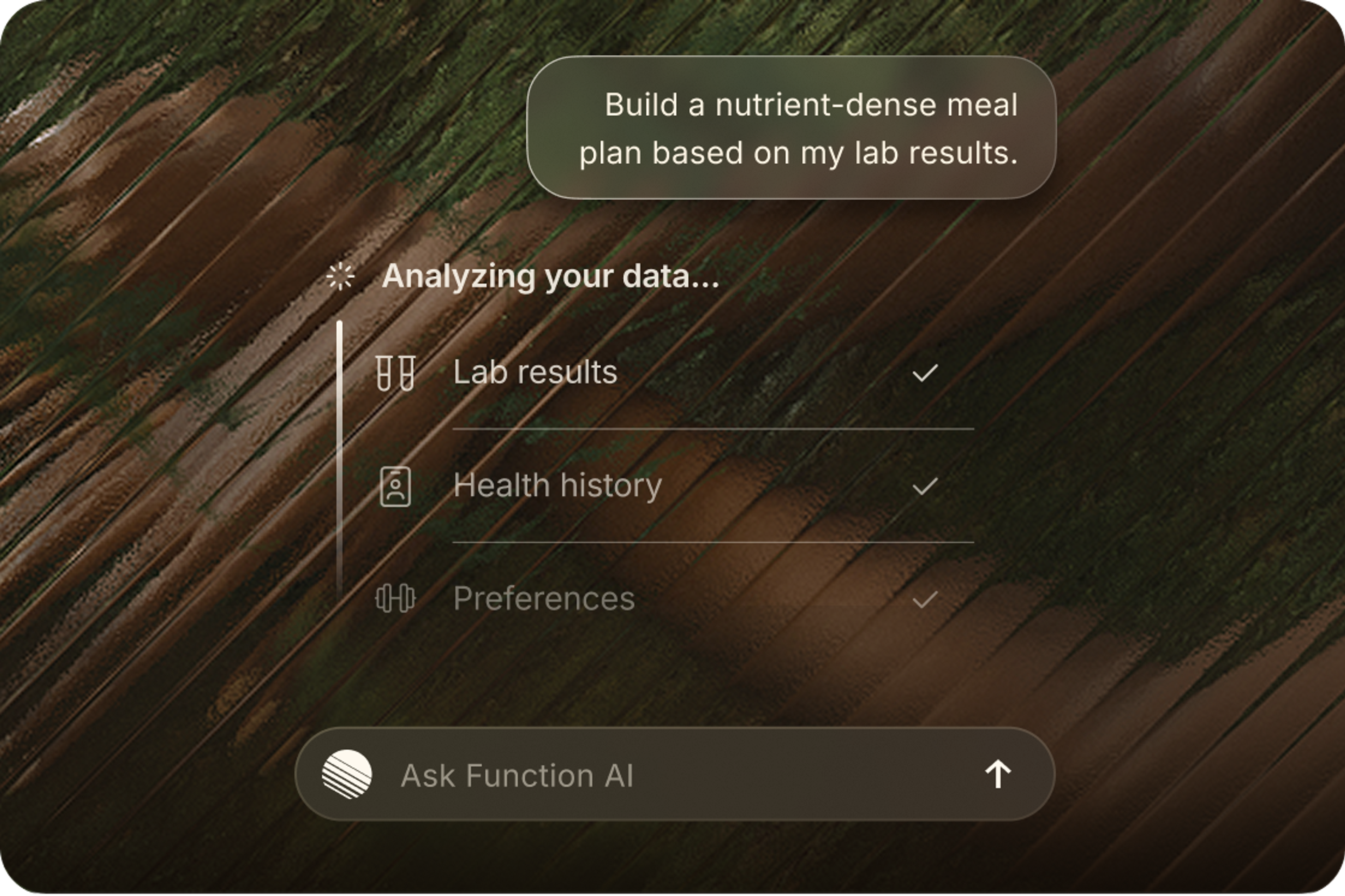 Function AI chat analyzing lab results, health history, and preferences to build a meal plan