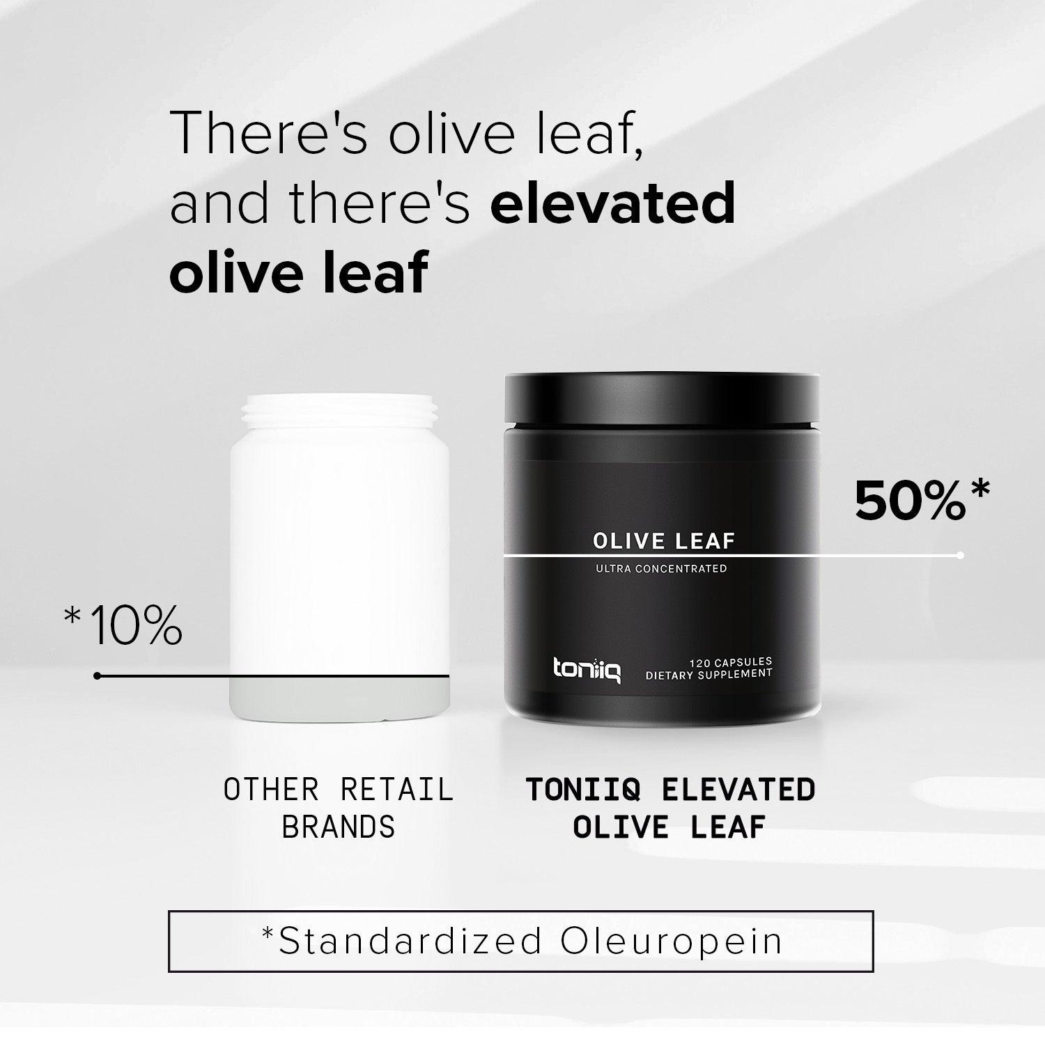 Olive Leaf image 4