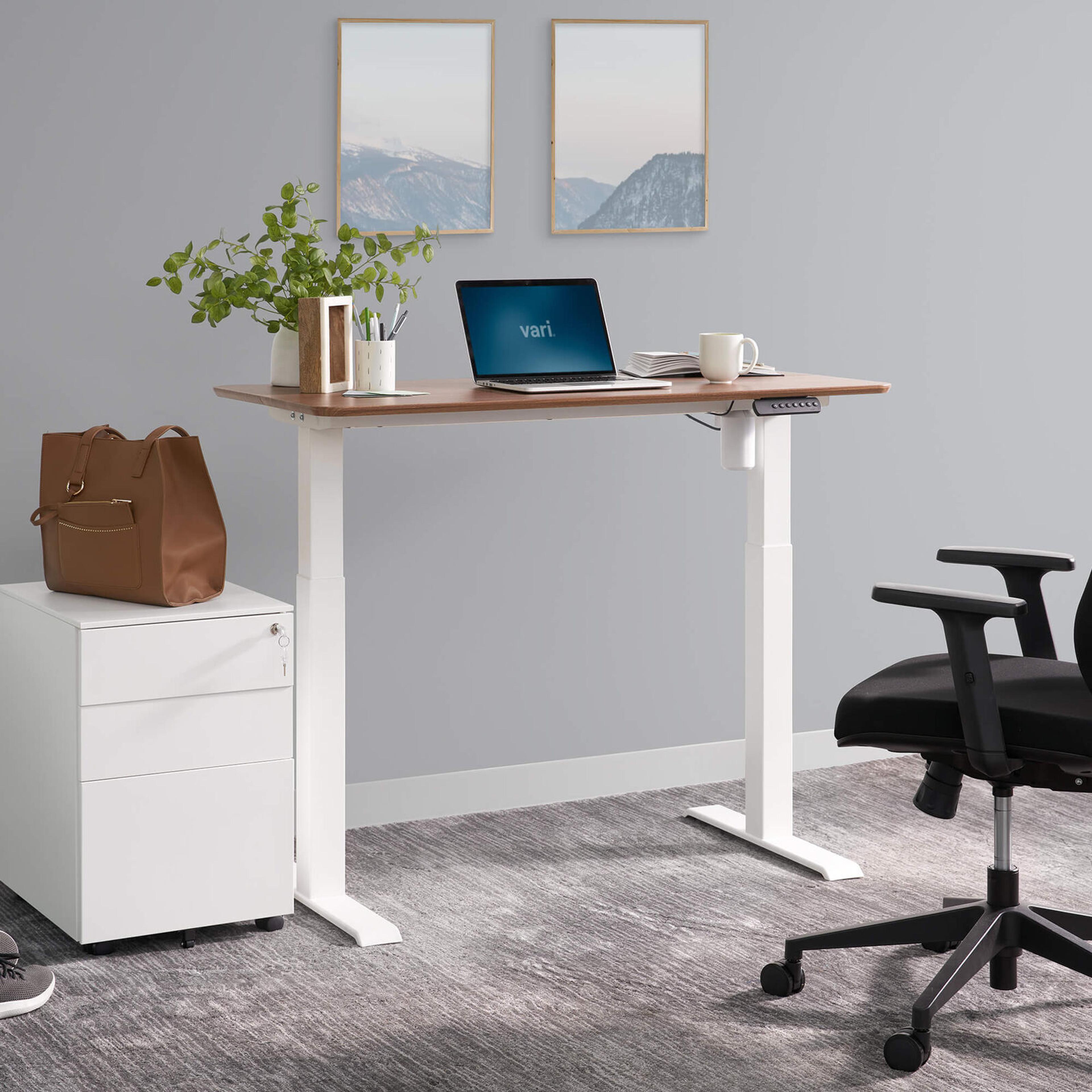 Essential Electric Standing Desk 48x24 in Hazel Wood/White