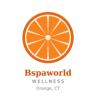 Bspaworld Wellness logo