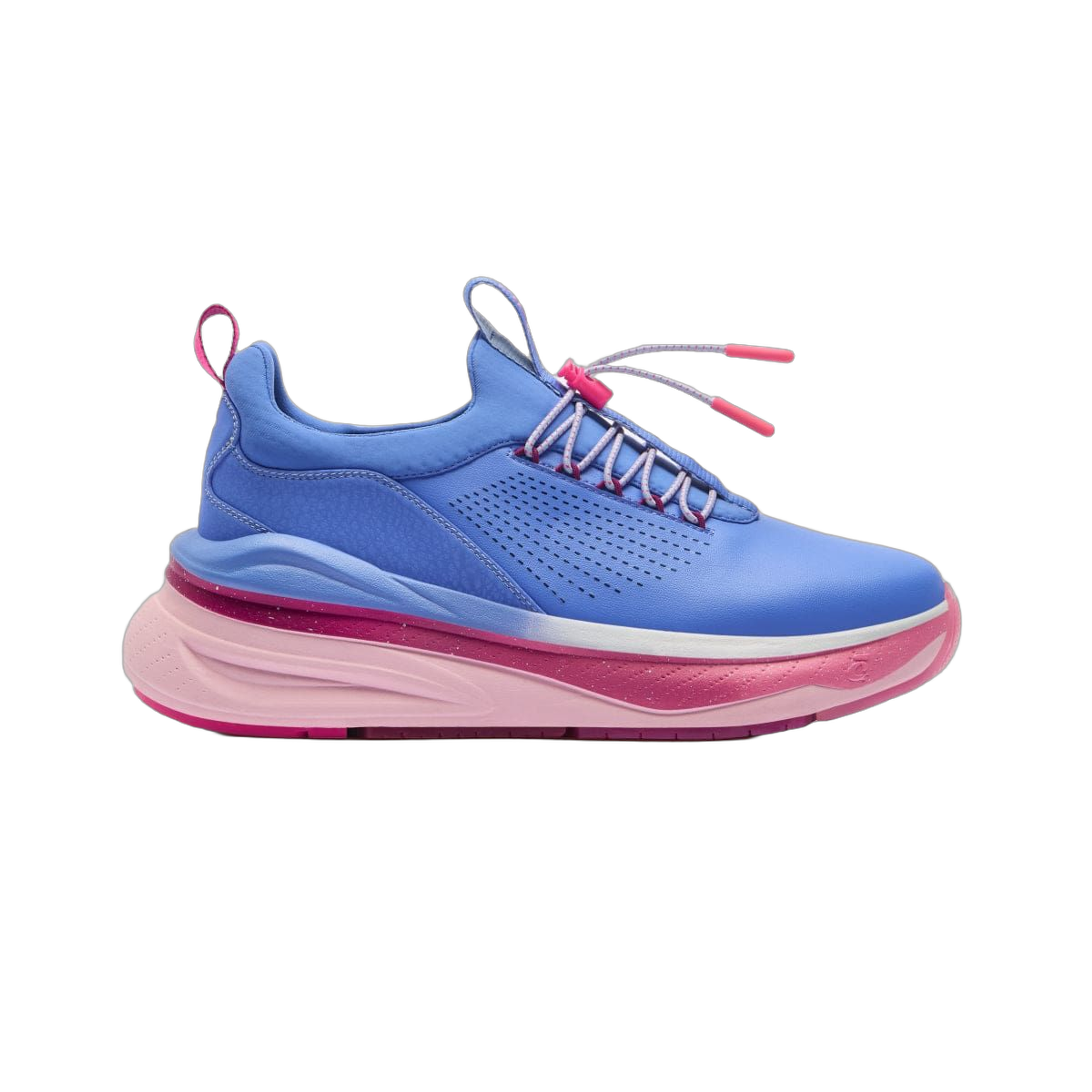 Forte - Vivid Blue / Pink