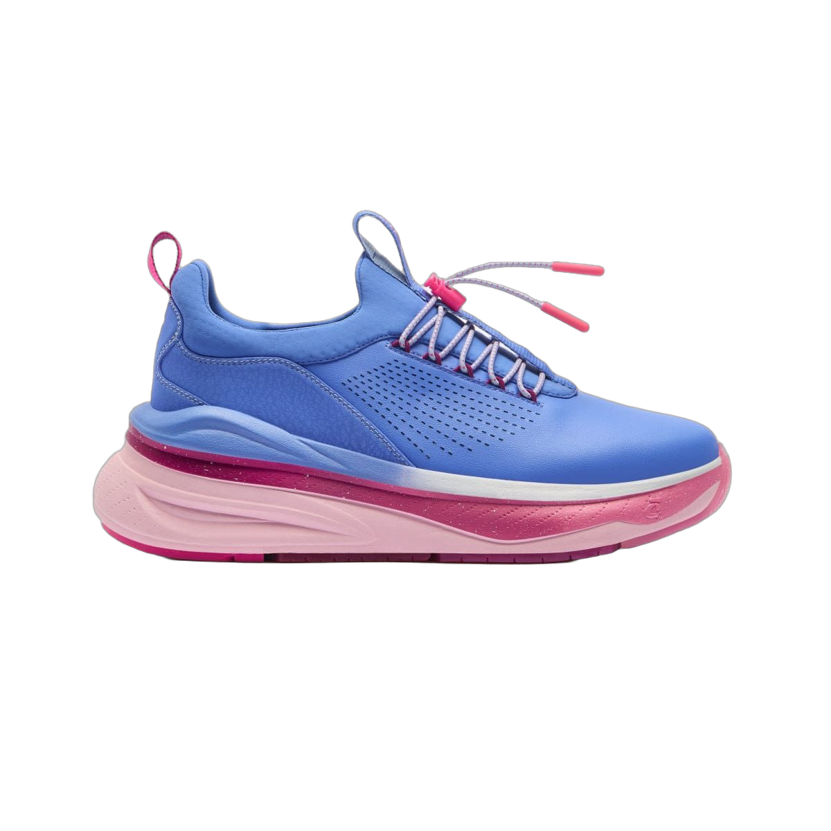 Forte - Vivid Blue / Pink