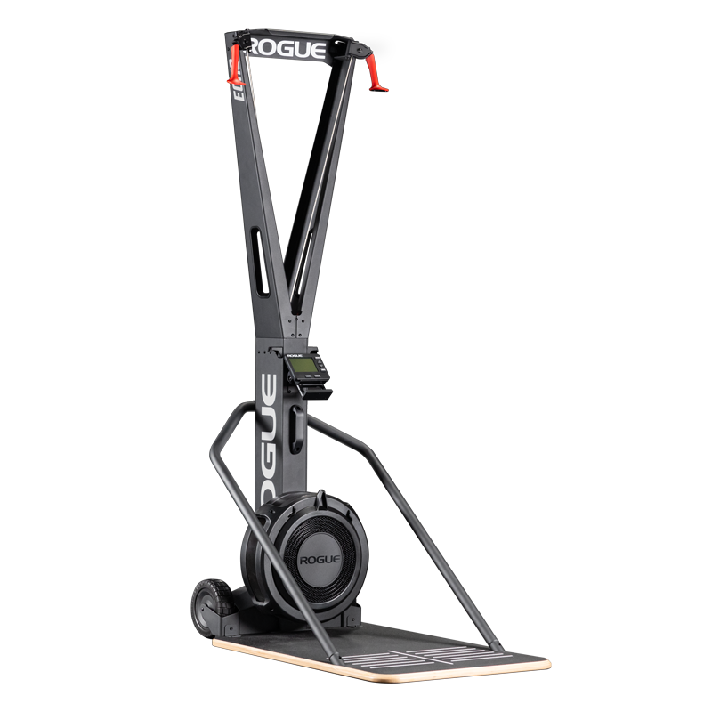 Rogue Echo SKI