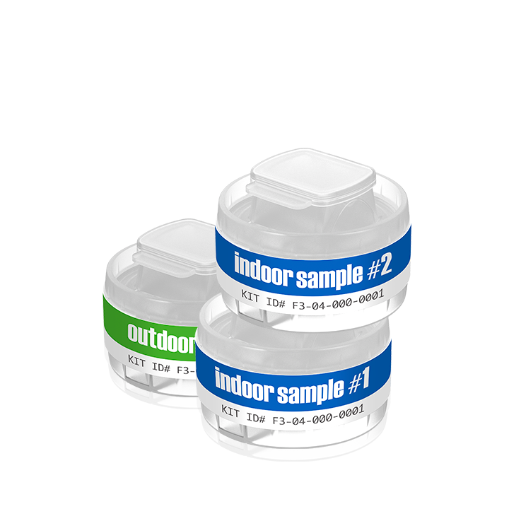 GOT MOLD? 2-Room Refill
