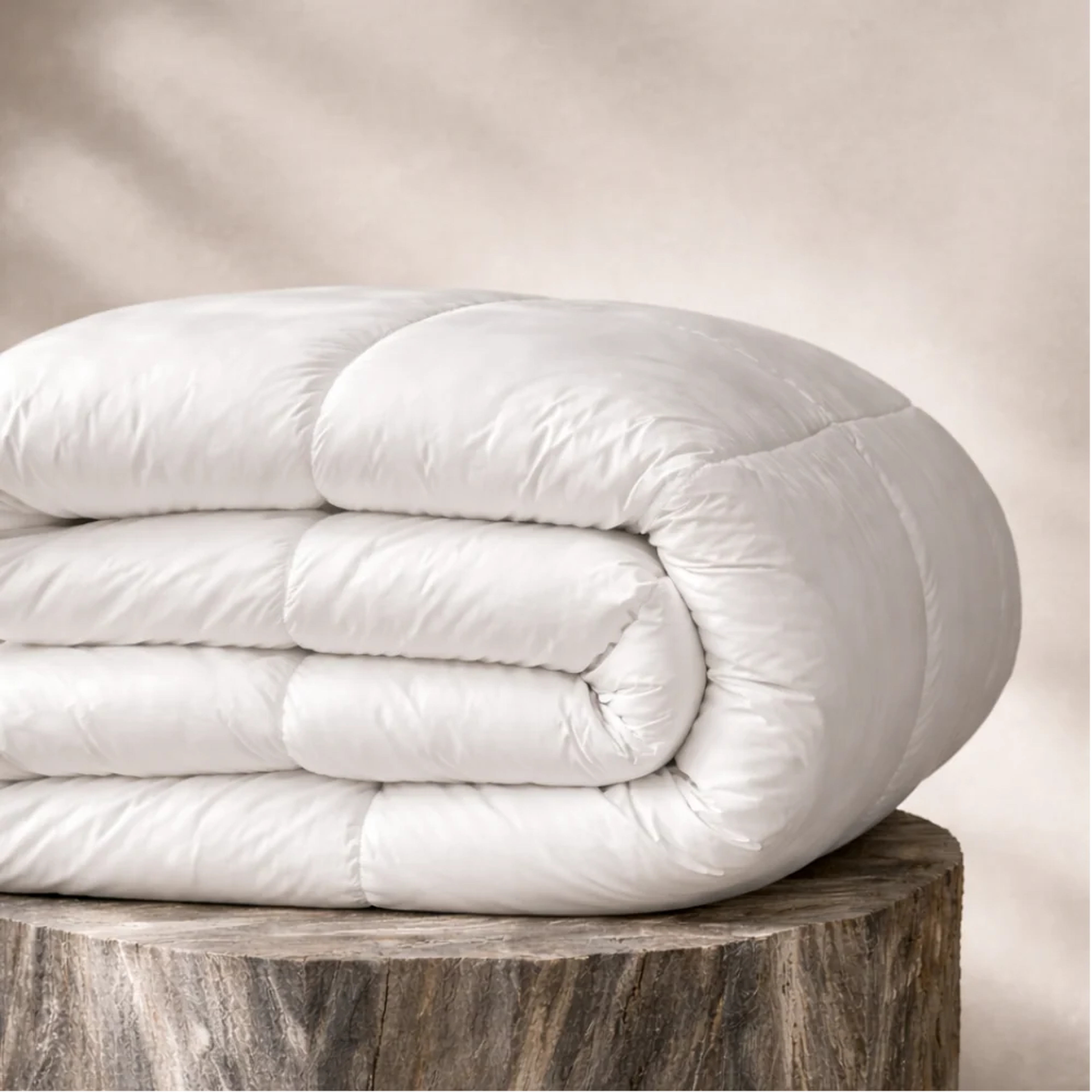 Eucalypso Dream Comforter in White